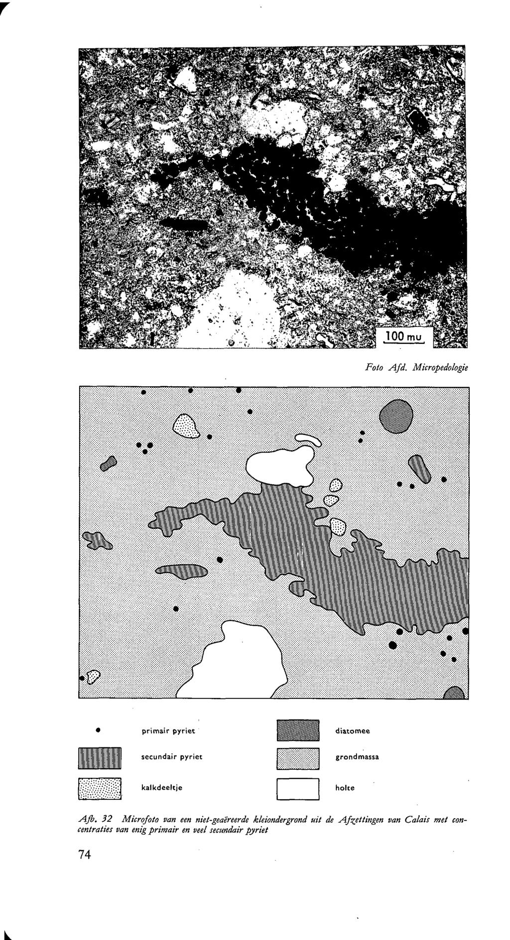 Foto Afd. Micropedologie primair pyriet diatomee secundair pyriet grondmassa kalkdeeltje holte Afb.