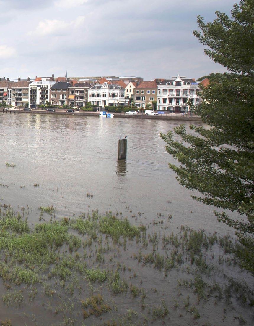 Werking van de rivieren op hoofdlijnen 2 Rijn en Maas zonder ingrepen van de mens We begrijpen pas goed hoe ingrepen in het verleden doorwerken in het gedrag van onze Rijn en Maas door te kijken naar