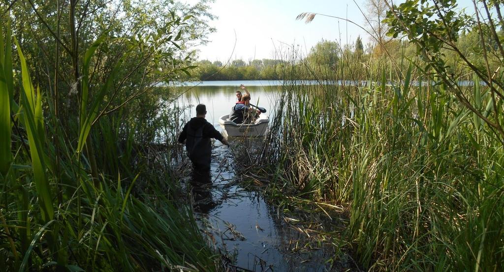 Figuur 1- Foto van de Gatesvijver (boven) en Paardenvijver (onder) in de Wellemeersen te Denderleeuw. 2.