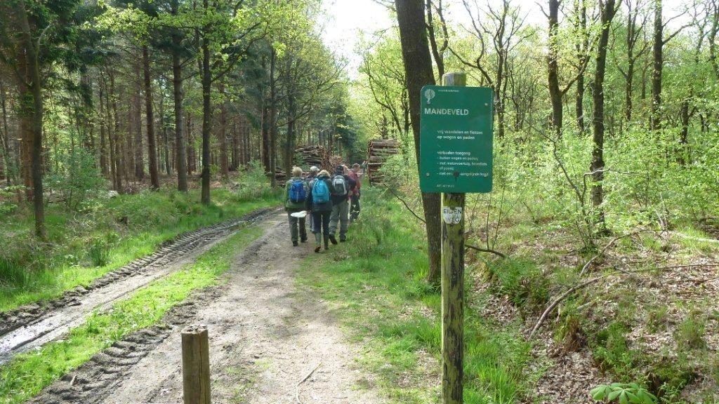 Bij een mooie wandeling rond een ven kwamen we veel mestkevers tegen op het pad, die vol mijten zaten. Bij thuiskomst in de Kampeerboerderij rond 16.