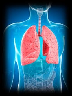 Klachten ter hoogte van de luchtwegen Immunotherapie kan een ontstekingsreactie veroorzaken ter hoogte van de bovenste luchtwegen, bijvoorbeeld een bronchitis.