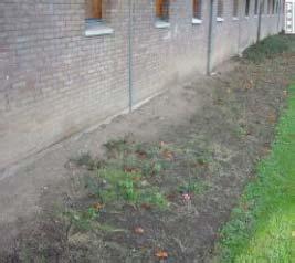 Welke foto komt het meest overeen met de hoeveelheid kale plekken in de beplanting in uw