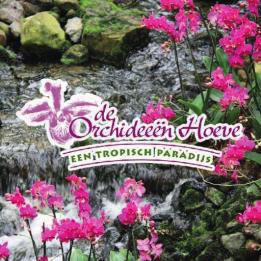 Excursie De Orchideeën Hoeve Zaterdag 4 november 2017 Van 10.30 uur tot 13.00 uur Ontvangst met koffie/thee en rondleiding Ervaar verre werelddelen heel dichtbij!