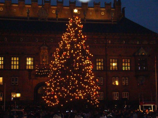 Voorbeeld project Kerstboom stadhuis Kopenhagen