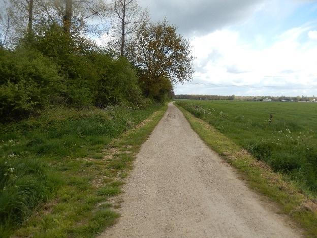 In 2016 is een fietspad opengesteld tussen de Spellingsestraat en de Zandbergseweg (zuidrand vennengebied), dat langs en door het bosje loopt.