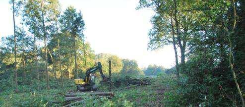 NATUURRESERVAAT VALLEI VAN DE ABEEK & DOMMELVALLEI Aen de Slagmolen Ellikom De sparrenaanplanten bij het vroegere weekendverblijf op de grens Ellikom-Reppel werden gekapt, ontstronkt en geplagd