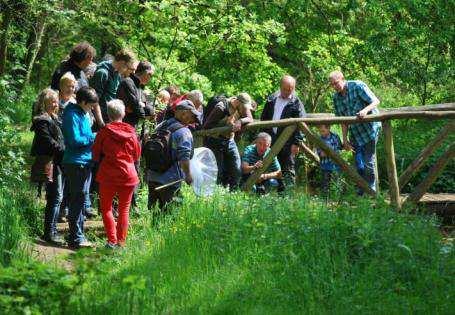 Dit jaar hebben zij 34 leerlingen uit 2 klassen van 2 scholen van het basis en secundair onderwijs en de natuur, fauna en flora leren ontdekken in de Mullemer Bemden.