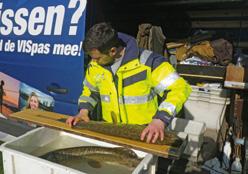 in de boot. Onder invloed van de elektrische stroom zwemmen vissen naar het schepnet toe en raken daar verdoofd.