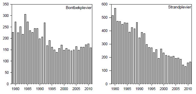 Aanvulling op het MER Kustwerk 11 Figuur 1.4. Populatieontwikkeling strandbroeders i.r.t. instandhoudingsdoelen (bron: Kustbroedvogels in het Deltagebied in 2011, Strucker e.a. 2012) Zowel bontbekplevier als dwergstern bevinden zich qua populatie ruim (50% of meer) boven het regiodoel, bij een stabiele, respectievelijk stijgende trend.