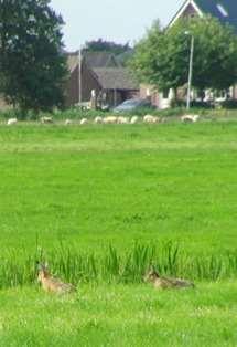 is dus voltallig, ook zijn de notulen van de vorige vergadering goedgekeurd, na de