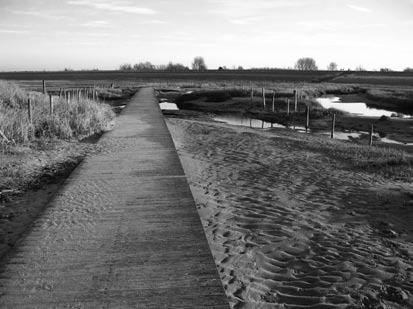 2.7 Verdronken Zwarte Polder (A9)/Herdijkte Zwarte Polder (C8) Huidige plankier in de Verdronken Zwartepolder De Herdijkte Zwarte Polder is opgenomen in de categorie C van het