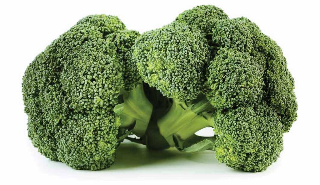 Broccoli 500 gram 1.190.