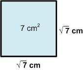 Voorbeelden van wortels; 1) 9 = 3 2) 2 9 = 2 3 3) 3 7 = 3 7 4) 4 + 9 4+ 9 5) 3 = 7 3 7 6) a 7 = a 7 7) lengte van de zijde = 7 cm. Ofwel afgerond op 2 decimalen: l = 2,65 cm. Opgave 1.