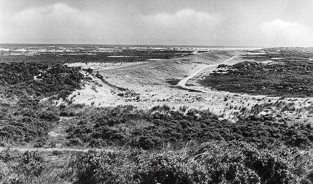 Groede Groede kweldergebied Cultuurlandschappelijk Elzenhagen en hakhoutbosjes divers Immaterieel Waardevol Westers dialect Immaterieel