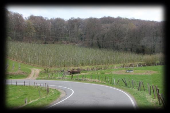 Wij kozen voor een wandeling door het stadje en gingen tot aan de ruïnes van een kasteel, zagen tal van pleintjes vol met terrasjes en toeristen, passeerden een watermolen, liepen langs de mooie, met