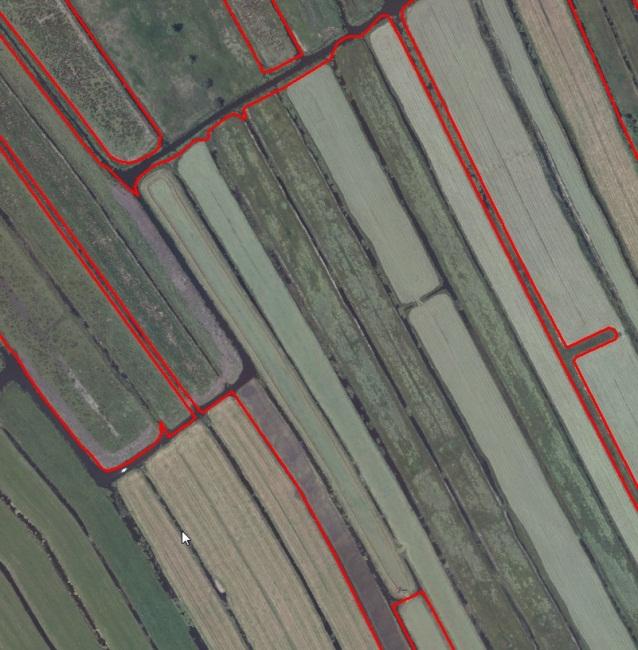 Foto 1 Een kaartvlak met beheertype N12.02 kruiden- en faunarijk grasland (rood omlijnd) met daaronder de luchtfoto waarop de slootpatronen duidelijk herkenbaar zijn.