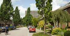 Voorwaarden voor succes Palenstein is een gezinsvriendelijke stadswijk; ruim, groen en levendig. Met karakteristieke buurtjes, een variëteit aan woningen en voorzieningen.