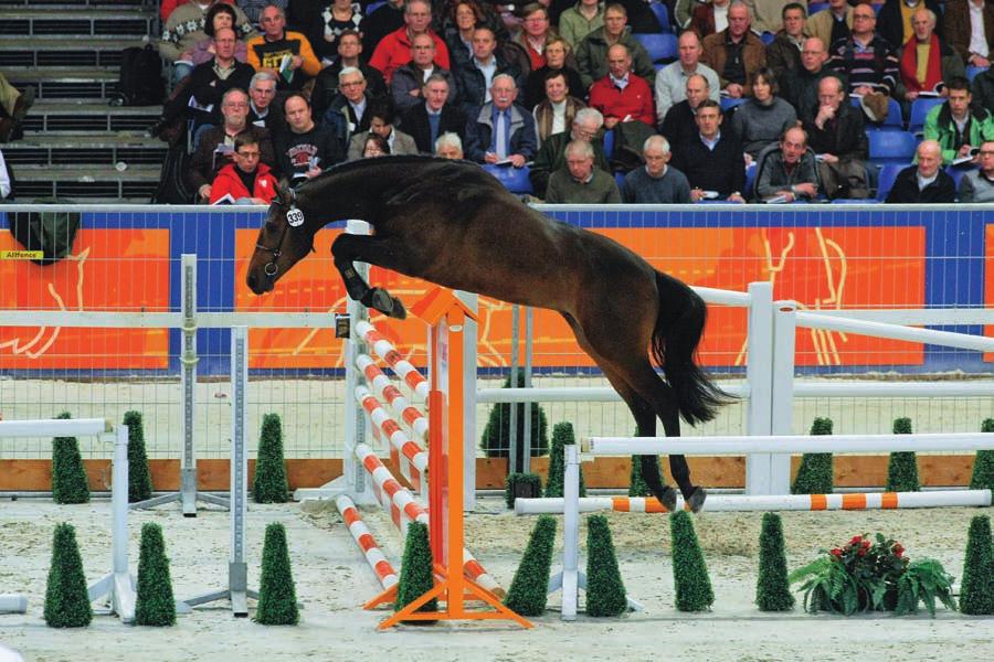 Foto: Dirk Caremans Foto :Dirk Caremans Ultimo-zonen Anmarsch en Bingo werden aangewezen voor het verrichtingsonderzoek.