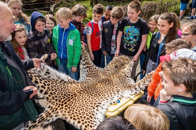Schoolreisje Het schoolreisje naar de dierentuin van Nordhorn in Duitsland was een groot succes! Alle kinderen zijn meegegaan en het was een reuze gezellige dag.