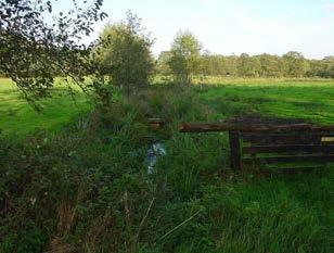 11 Oude Diep 11.1 Watersysteem Het waterlichaam Oude Diep behoort tot de KRW-categorie Rivieren, type R5; langzaam stromende middenloop/benedenloop op zandbodem (RBO Rijn-Oost, 2004).