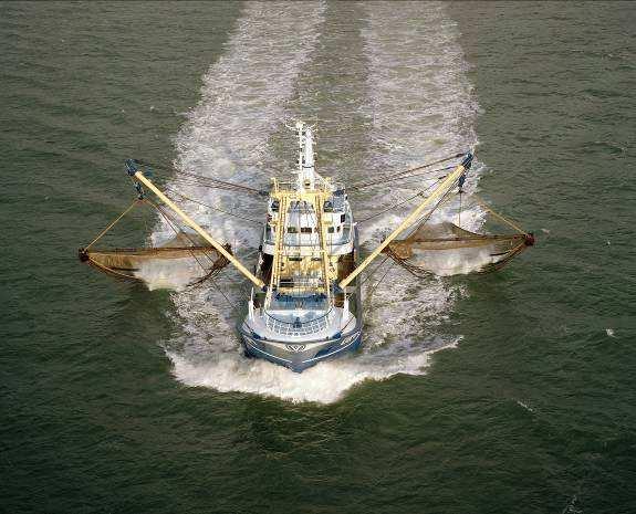 Figuur 4.1.1: Een boomkorschip (links) en een boomkornet (rechts). 4.2 Gebied, omvang en doelsoorten De boomkorvisserij is de meest voorkomende visserij in de zuidelijke Noordzee en is voornamelijk op tong en schol gericht.