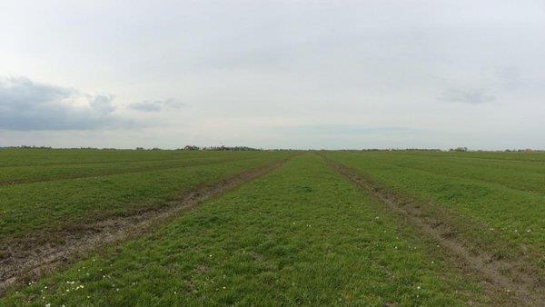 Dieren kunnen er bijvoorbeeld makkelijk doorheen of overheen lopen.