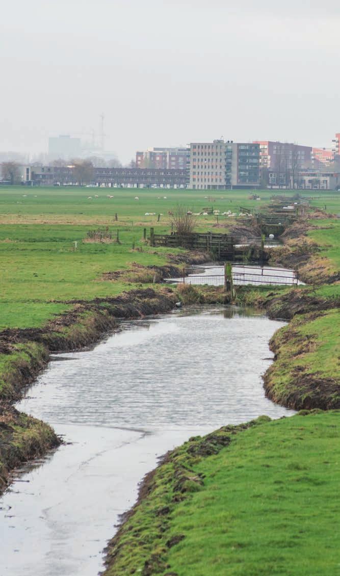 Een ander mens geworden Grote rupskranen verzwaren in een al jaren lopend project de dĳken in het waterrĳke gebied ten westen van Leiden.