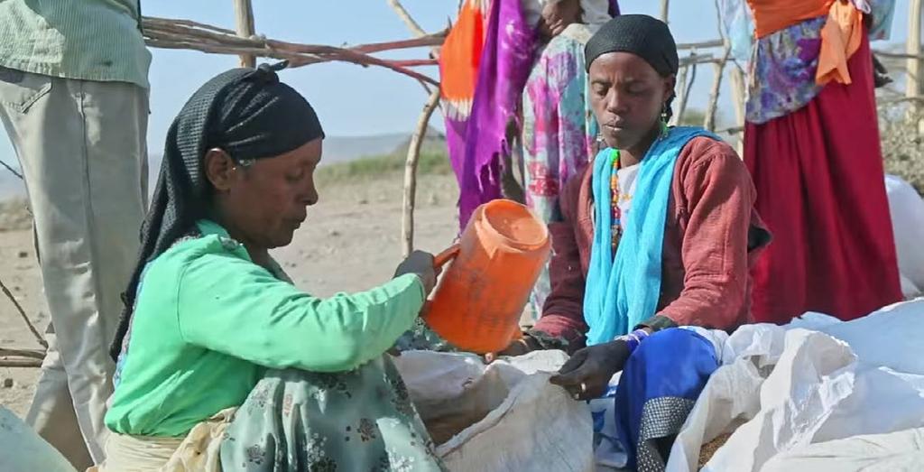 Versterking van de link tussen humanitaire hulp en ontwikkelingssamenwerking Ethiopië: de kloof tussen humanitaire hulp en ontwikkelingssamenwerking voorbij (UN OCHA) Door de link tussen humanitaire