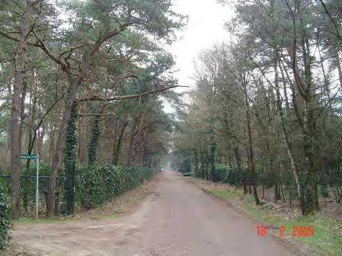 In het buitengebied komen enkele onverharde wegen voor die gekenmerkt kunnen worden als woonstraat, zoals aan weerszijden van de Molenheide in Lieshout.