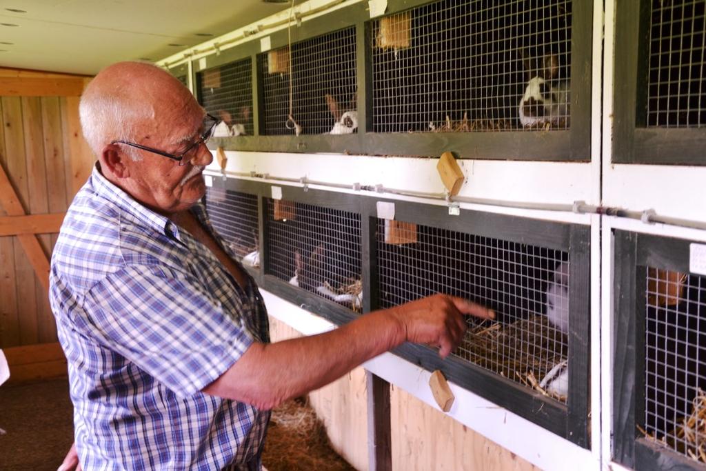 De dieren krijgen 1x daags eten en de hokken worden 1x per week uitgemest.