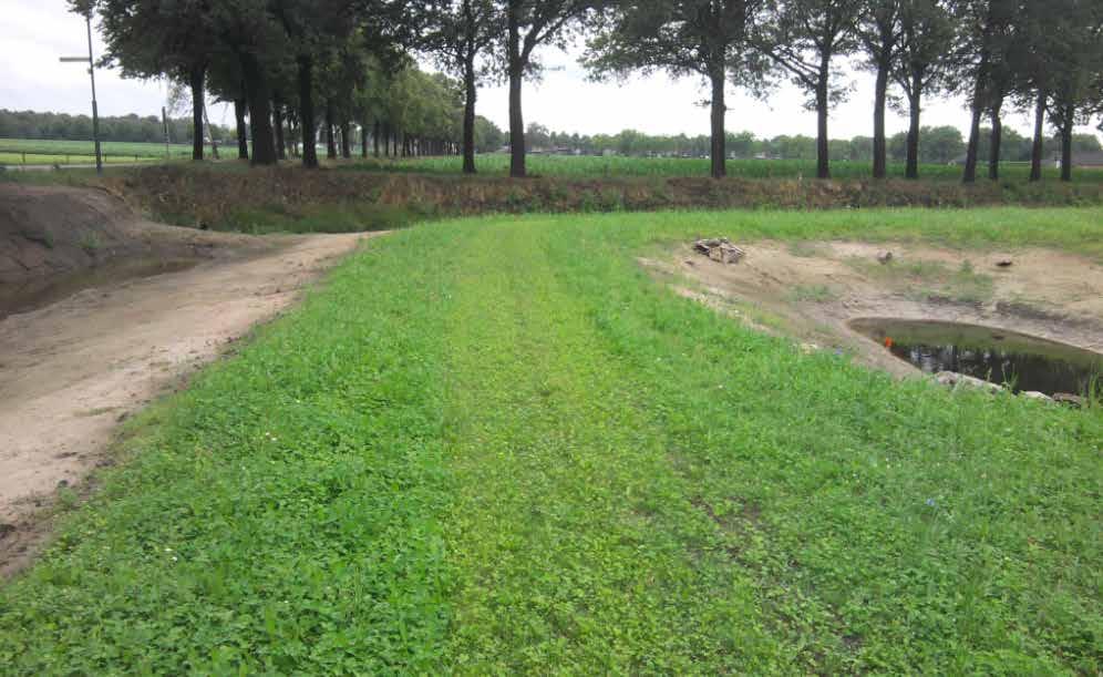 In Venhorst is deze natuurrijke hoek