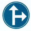 b) binnen en buiten de bebouwde kom wanneer het verkeer in meerdere files geschiedt 1 op rijbanen verdeeld in rijstroken waarboven de verkeerslichten zijn aangebracht (zoals vermeld in art. 63.