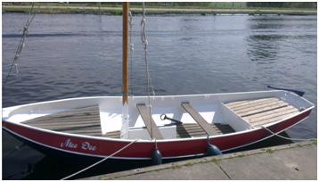 Rotary Roei Regatta op de Ringvaart De Rotary Roei Regatta is een door Rotaryclub Hillegom-Lisse georganiseerde jaarlijks terugkerend activiteit om fondsen te werven om goede doelen te ondersteunen.