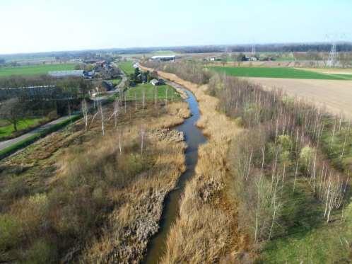 Peilen en vegetatie Wat is de juiste balans tussen het toestaan van vegetatiegroei in watergangen enerzijds en het garanderen van voldoende doorstroomcapaciteit anderzijds?