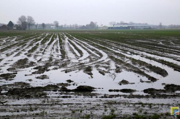 Klimaat en Landbouw LTO