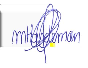 M. (Matthijs) Hardeman Handtekening: Incendio B.V. Postbus 1218 3600 BE MAARSSEN info@incendio.