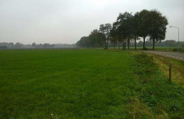 Figuur 2: Impressies van het plangebied; het zuidelijke deelgebied (links) en het noordelijke deelgebied (rechts). Grontmij, november 2014. 4 Beschermde soorten 4.