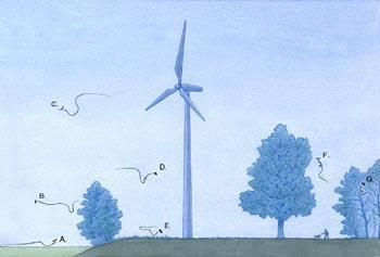 Ecologie Windmolens versus vogels: Soms zijn er aanvaringen met vogels. Vogels vliegen meestal om windmolens heen.