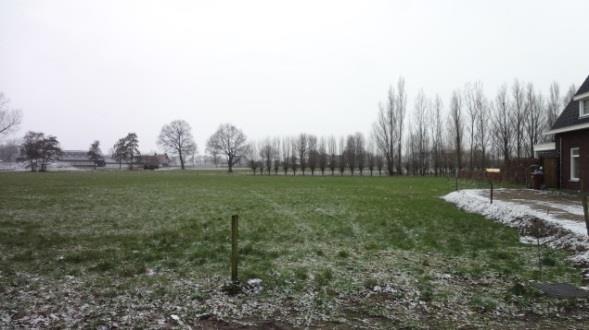 Ten zuiden van het plangebied, op de kruising van Bolakker met (het verlengde van) de Langecruijsstraat, staan een boerderij en een