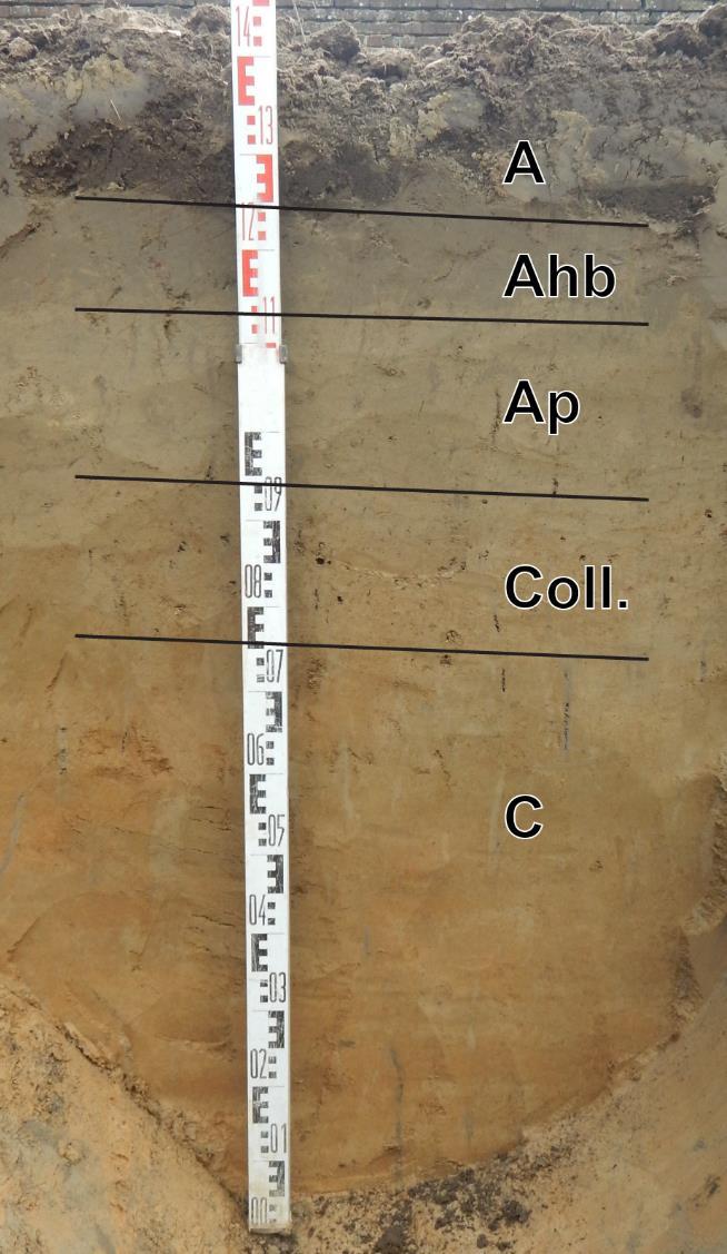 Figuur 10: Profiel 4 met aanduiding van de verschillende bodemhorizonten (links) en een vlakfoto van werkput 3 ter hoogte van het profiel (rechts).