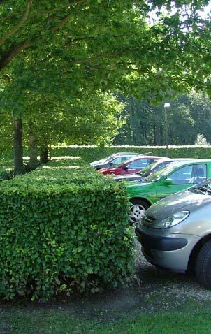 47 KLEINE BEDRIJVEN Parkeren Binnen dit plandeel voor de kleine bedrijven wordt de gehele parkeerbehoefte op maaiveld opgelost in zogenaamde groen omzoomde parkeerkoffers.