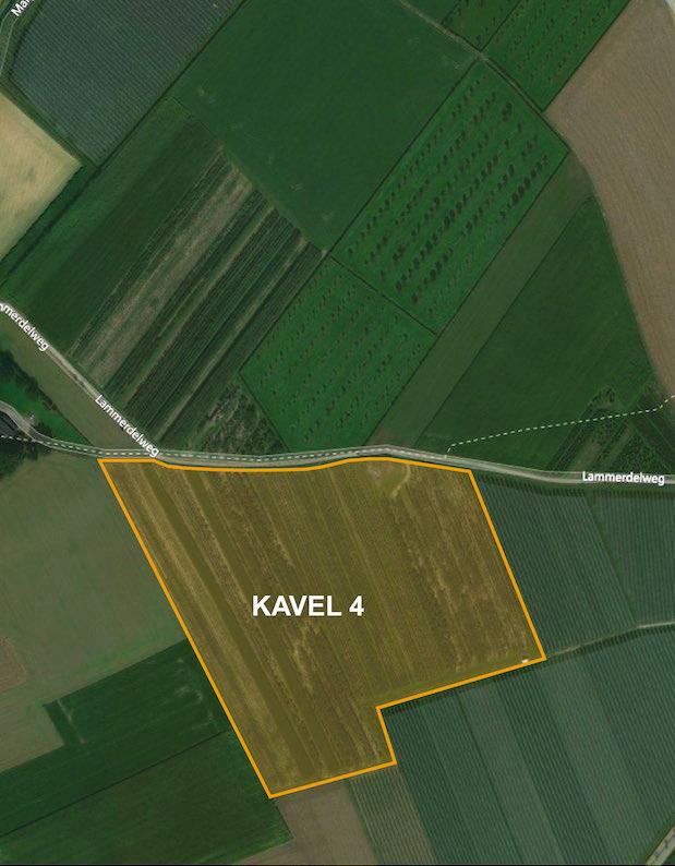 Kavel 4 De kavel bestaat uit vier kadastrale percelen met een totaaloppervlak van 5.98.67 ha. De kavelvorm is gunstig, bevat geen stenen, en is goed ontsloten aan de Lammerdelweg.