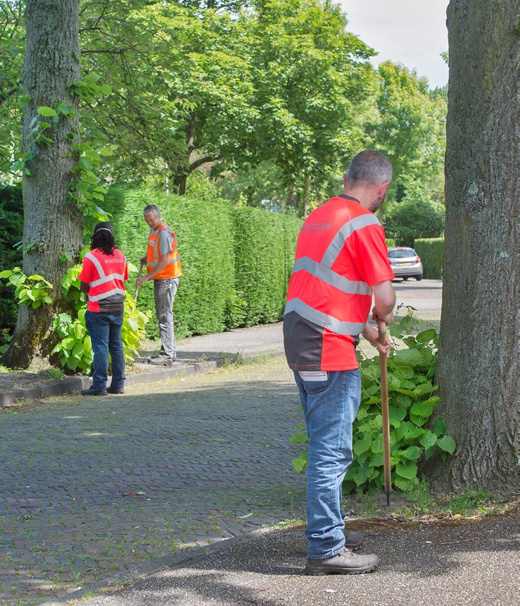 177 boomspiegels door Haarlemmers geadopteerd 100.000 bezoekers aan het Milieuplein 104 keer overleg gehad met wijkraden, parkmanagement en participatie-/vrijwilligersgroepen 158.