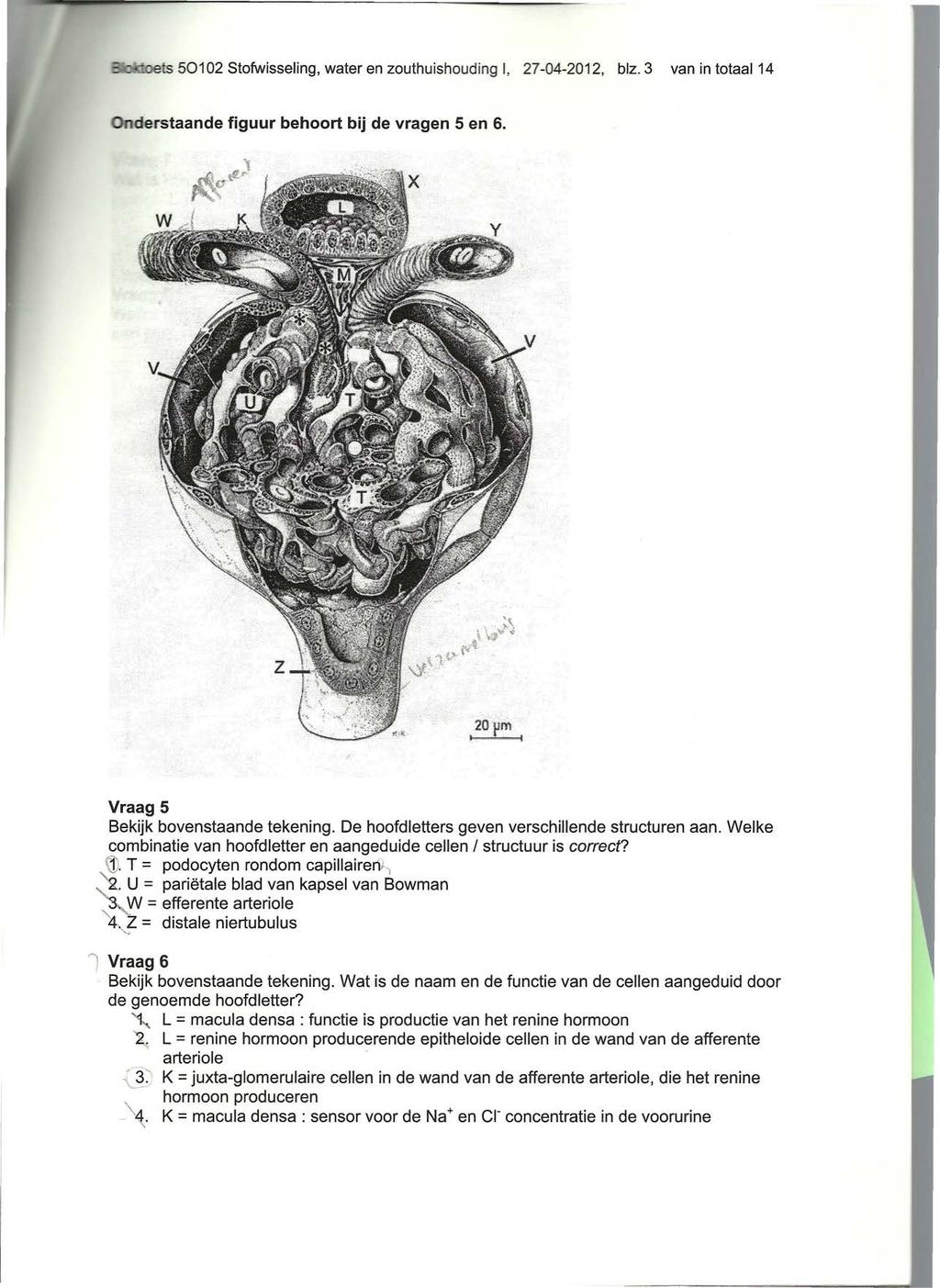 --... J'Çts 50102 Stofwisseling, water en zouthuishouding I, 27-04-2012, blz. 3 van in totaal14 derstaande figuur behoort bij de vragen 5 en 6. 20pm 1... m m mml Vraag 5 Bekijk bovenstaande tekening.