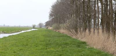 Provincie Zuid-Holland Kartografie 15 Natuur in Bilwijk: Ecologische verbindingszone 13 Door de Krimpenerwaard wordt een verbinding aangelegd voor soorten die kenmerkend zijn voor de veenweidenatuur