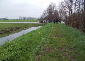 Bestaande natuur Bilwijk: wat is er al? 07 Bilwijk is een hoofdzakelijk agrarisch gebruikt gebied.