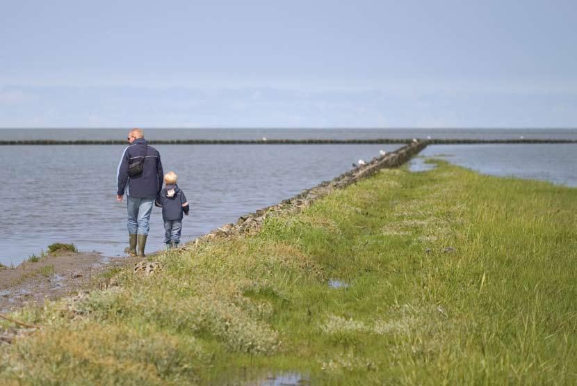 Geen plat vermaak, maar duurzaam toerisme interview met Steef Engelsman Maatregel Organiseren van een workshop om een lijst met projecten op te stellen voor duurzaam toerisme in het waddengebied