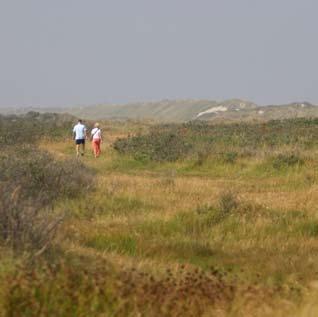 Waddengebied gebaat bij duurzame werkgelegenheid Reactie van VNO-NCW op gezamenlijk waddenherstelplan Er bestaat geen regio waar zoveel loopgraven zijn gegraven, waar de partijen elkaar zo