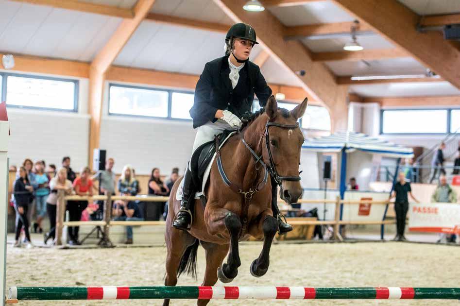 Aandachtspunten bij parcours lopen: Neem de omgeving in je op. Is deze imponerend voor je paard, staan er vlaggen of bijvoorbeeld spandoeken waar hij van kan schrikken?