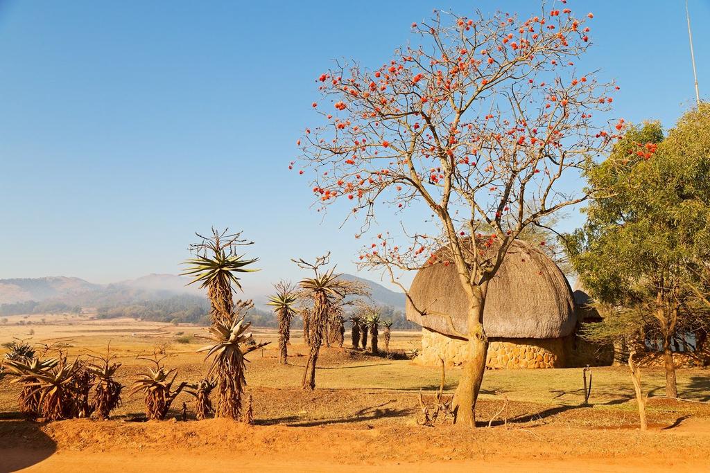 HAZYVIEW Na een aantal dagen genoten te hebben van de River Lodge halen we onze huurauto op en rijden we richting Swaziland.